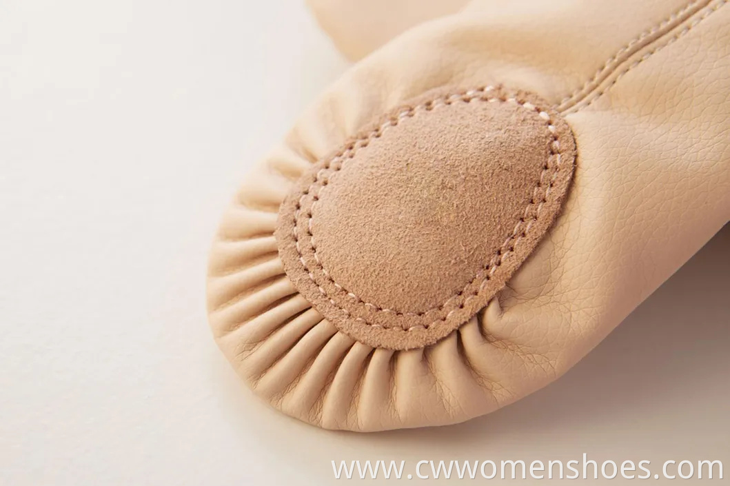 Stylish E5013 Canvas Split Sole Ballet Dance Shoes for Women